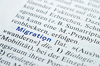 Integration-Was sagt die Politik?